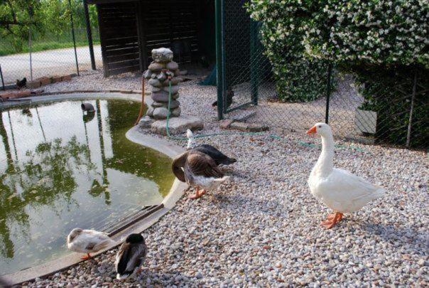 Locanda Al Convento Favaro Veneto Εξωτερικό φωτογραφία